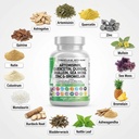 clean-nutraceuticals-artemisinin-quercet-4.jpg