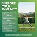clean-nutraceuticals-artemisinin-quercet-2.jpg