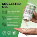 clean-nutraceuticals-artemisinin-quercet-6.jpg