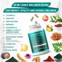chlorella-spirulina-irish-sea-moss-morin-4.jpg