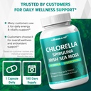chlorella-spirulina-irish-sea-moss-morin-6.jpg