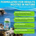 2-pack-sea-moss-gummies-for-men-women-ve-5.jpg