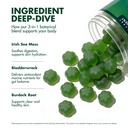 secret-element-sea-moss-gummies-with-bla-2.jpg