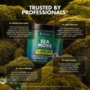 secret-element-sea-moss-gummies-with-bla-6.jpg