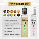 sea-moss-black-seed-oil-ashwagandha-turm-4.jpg