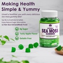 sea-moss-gummies-irish-sea-moss-gummies--6.jpg