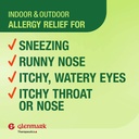 glenmark-therapeutics-24-hour-allergy-me-3.jpg