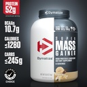 dymatize-super-mass-gainer-protein-powde-3.jpg