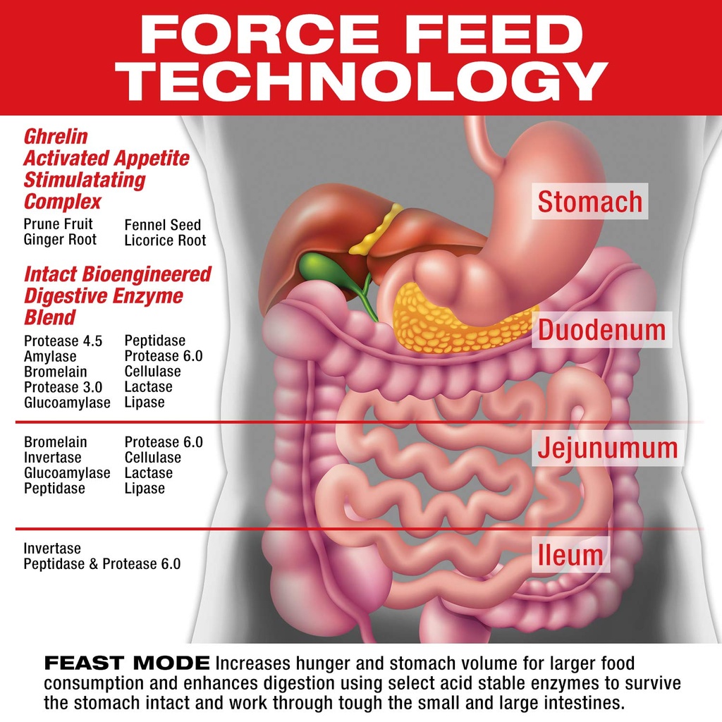 musclemeds-feast-mode-appetite-stimulant-3.jpg