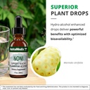 nutramedix-noni-drops-noni-fruit-extract-5.jpg