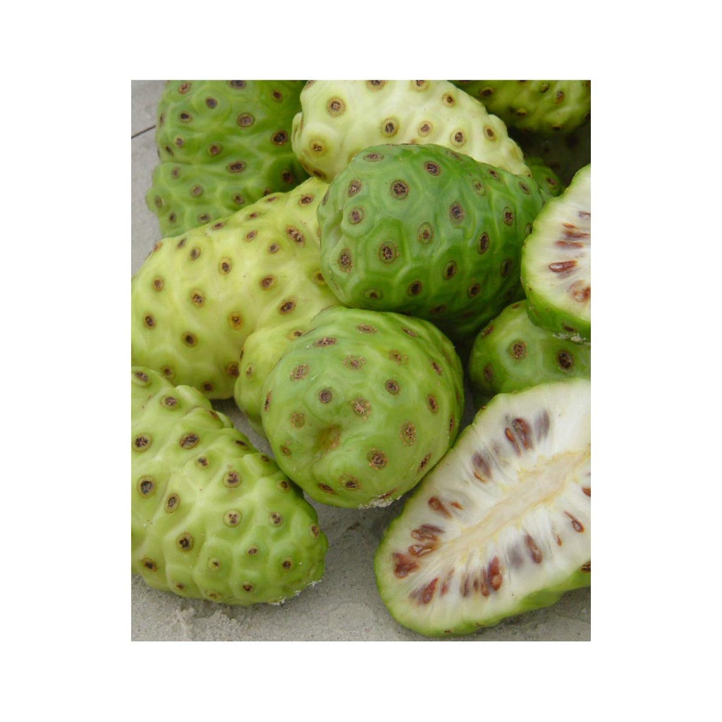 royal-noni-capsules-100-organic-noni-fru-4.jpg