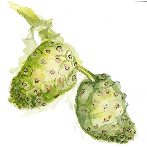 noni-120-veggie-capsules-400mg-per-capsu-5.jpg