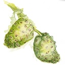 noni-120-veggie-capsules-400mg-per-capsu-5.jpg