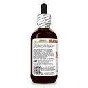 noni-morinda-citrofolia-dry-fruit-glycer-3.jpg