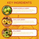 paleovalley-organic-turmeric-complex-ess-6.jpg