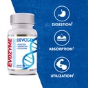 evogen-evozyme-premium-digestive-enzymes-3.jpg
