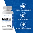 evogen-ksm-66-ashwagandha-600mg-60-capul-3.jpg