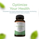 glutathione-symmetry-s-acetyl-glutathion-5.jpg