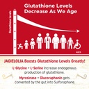 liposomal-glutathione-2000-mg-with-l-ser-3.jpg
