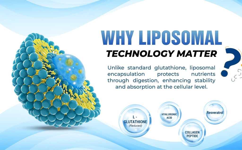 liposomal-glutathione-supplement-high-po-6.jpg