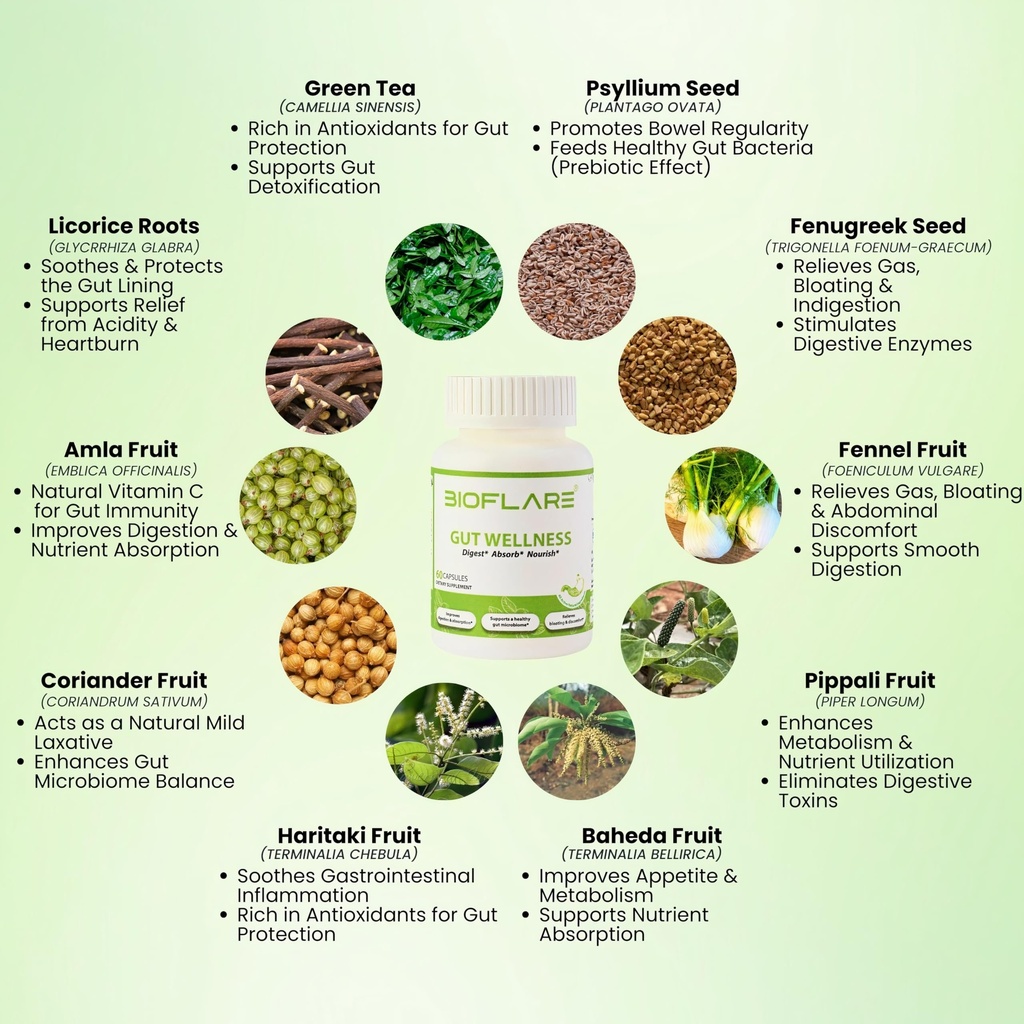 gut-wellness-women-s-probiotics-mens-pro-3.jpg