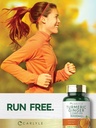carlyle-turmeric-and-ginger-supplement-1-6.jpg