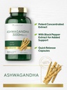 carlyle-ashwagandha-supplement-for-women-4.jpg