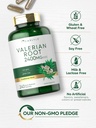 carlyle-valerian-root-capsules-240-count-5.jpg
