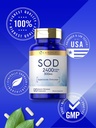 carlyle-s-o-d-supplement-capsules-300mg--5.jpg