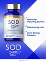 carlyle-s-o-d-supplement-capsules-300mg--3.jpg