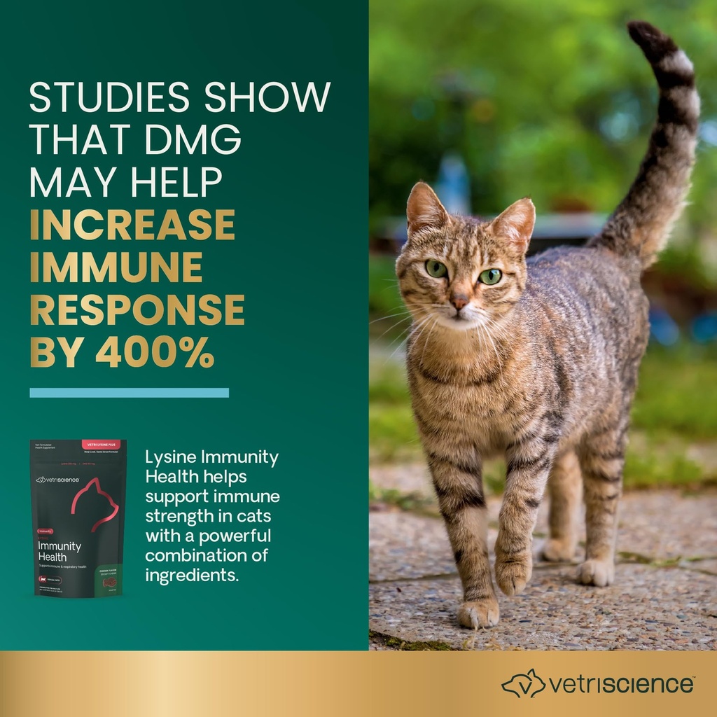 vetriscience-lysine-immunity-health-chew-6.jpg