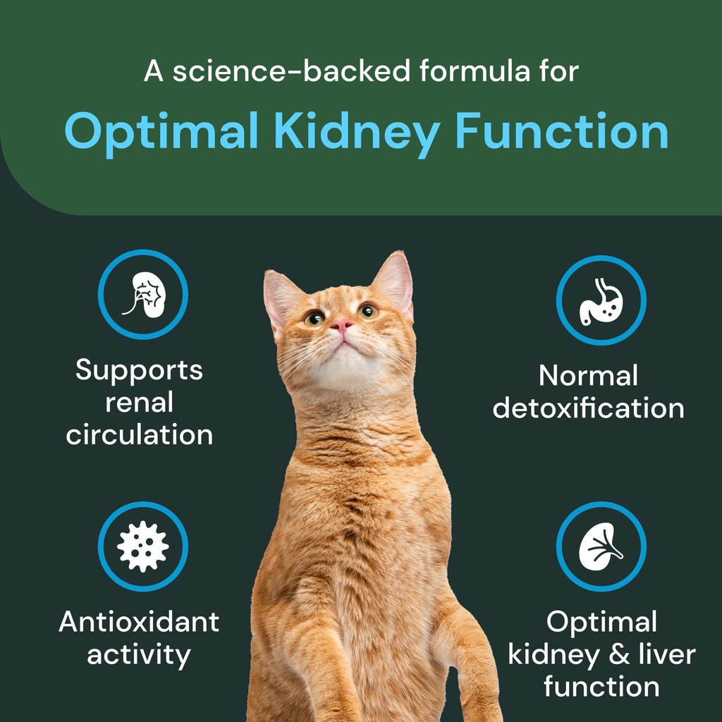 vetriscience-renal-essentials-pro-liquid-4.jpg