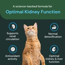 vetriscience-renal-essentials-pro-liquid-4.jpg