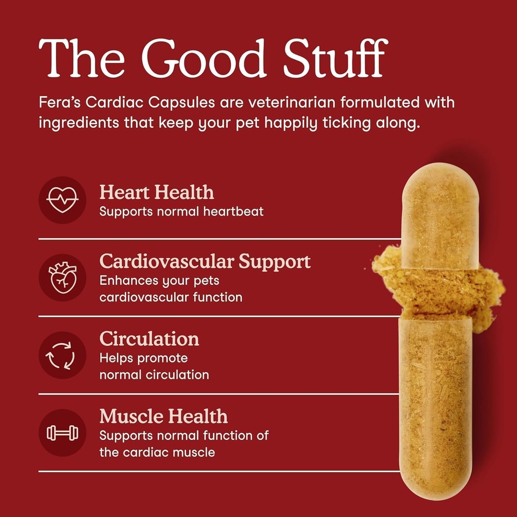 fera-pets-cardiac-support-cat-dog-heart--2.jpg