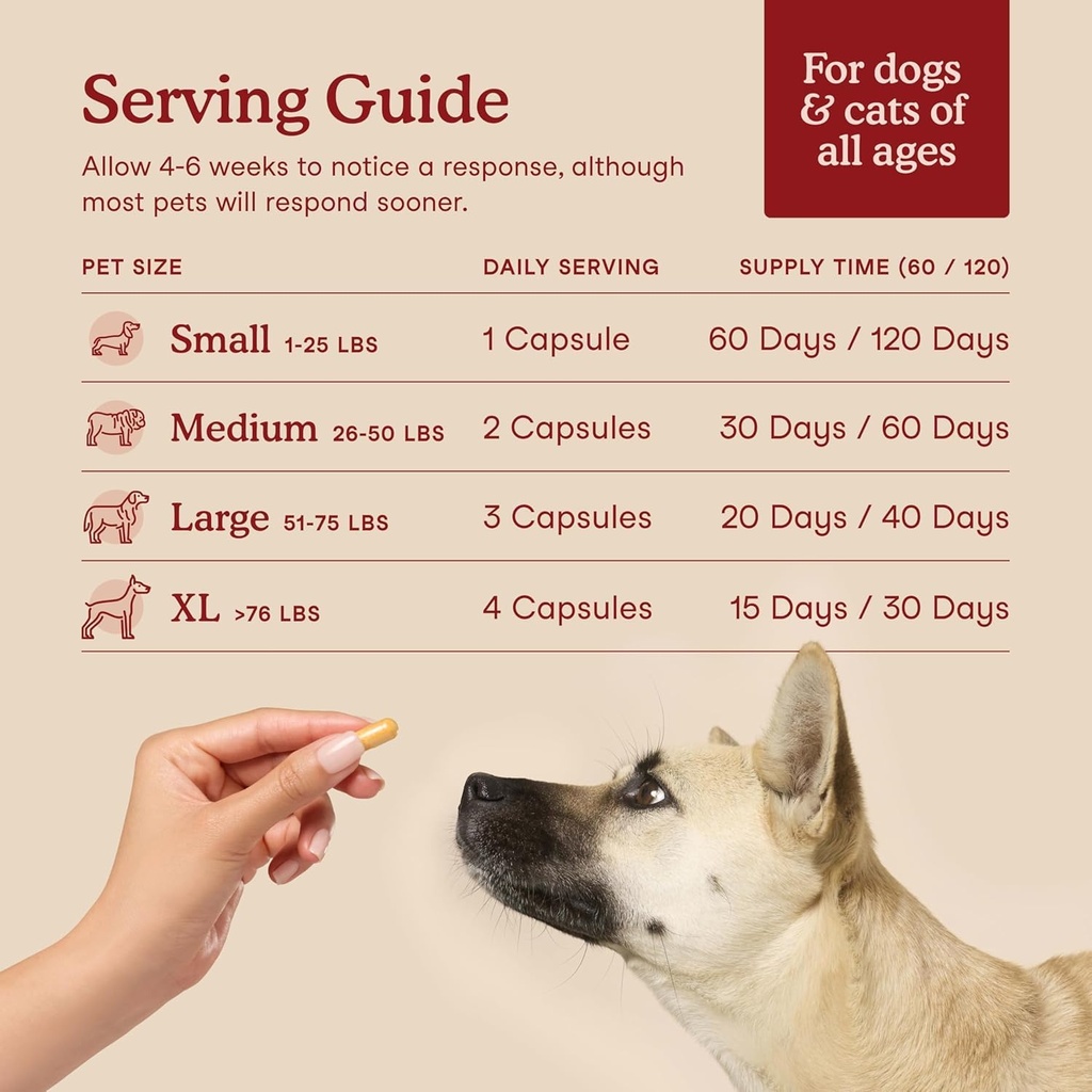 fera-pets-cardiac-support-cat-dog-heart--4.jpg
