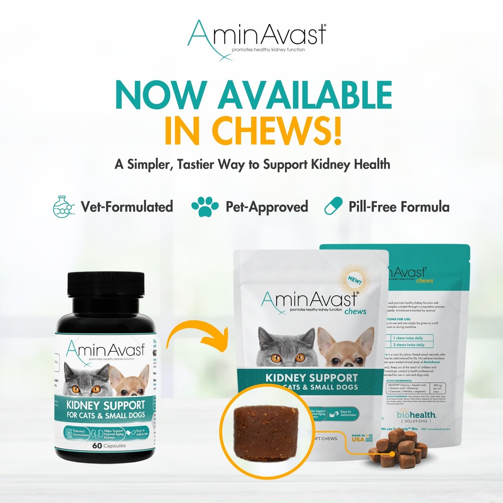aminavast-small-dogs-cat-kidney-support--4.jpg