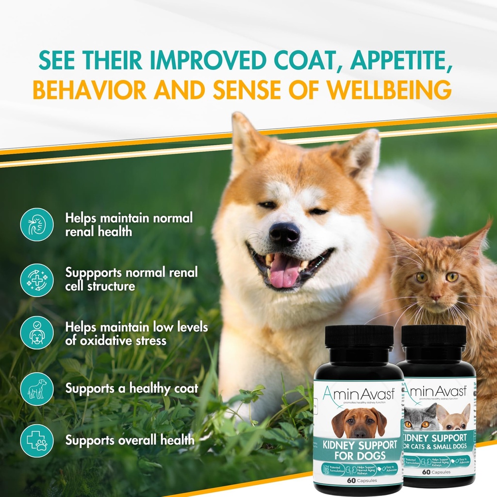 aminavast-small-dogs-cat-kidney-support--2.jpg