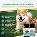 aminavast-small-dogs-cat-kidney-support--2.jpg