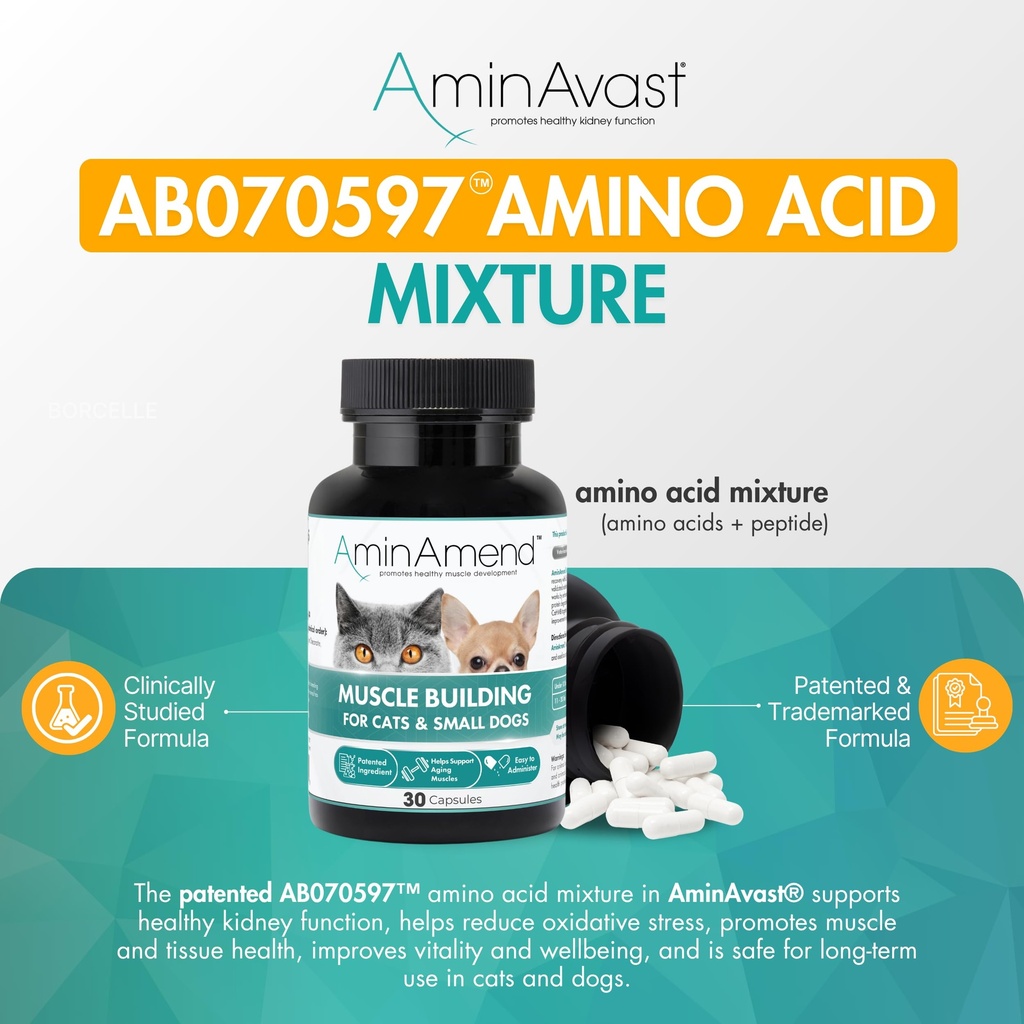 aminavast-small-dogs-cat-kidney-support--3.jpg