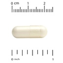 california-gold-nutrition-lactobif-probi-3.jpg