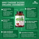 zazzee-usda-organic-cranberry-25-1-extra-6.jpg