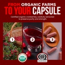 omnibiotics-usda-organic-cranberry-pills-5.jpg