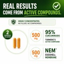 turmeric-curcumin-95-extract-collagen-ca-4.jpg