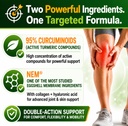 turmeric-curcumin-95-extract-collagen-ca-5.jpg