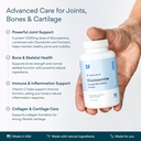 bettervits-glucosamine-complex-with-msm--3.jpg