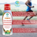 tropical-oasis-premium-liquid-glucosamin-3.jpg