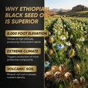 ethiopian-black-seed-oil-softgels-1000mg-6.jpg