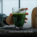 bare-performance-nutrition-bpn-strong-gr-6.jpg