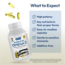 andrew-lessman-essential-omega-3-mint-18-4.jpg