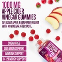 apple-cider-vinegar-gummies-1000mg-per-s-3.jpg